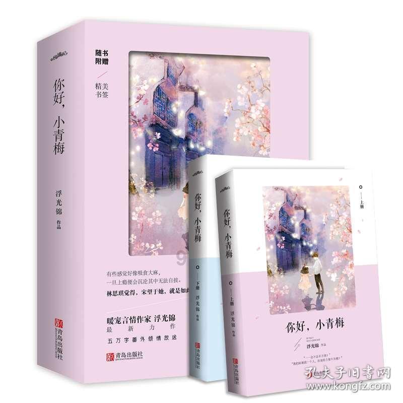 拯救机智男孩